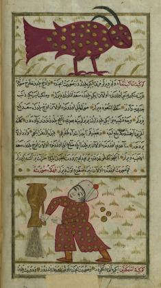 Muhammad_ibn_Muhammad_Shakir_Ruzmah-'i_Nathani_-_Capricorn_and_Aquarius_-_Walters_W65924B_-_Full_Page